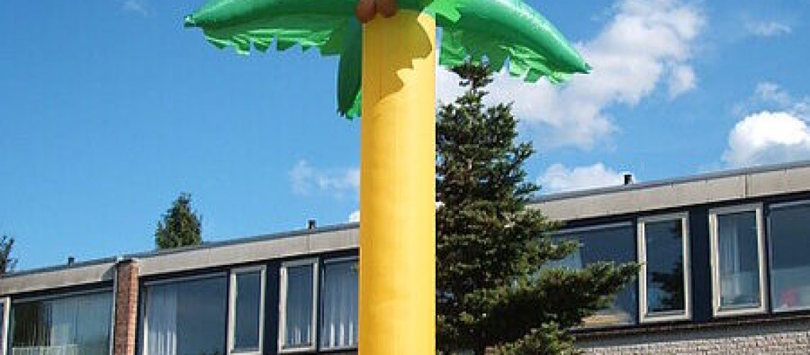Palmboom Geel