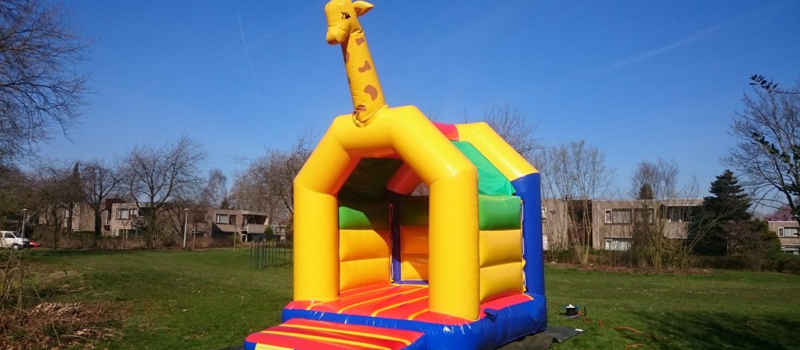Springkussen Giiraffe